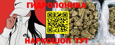 таблы Гатчина