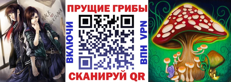 Галлюциногенные грибы Psilocybe  MEGA tor  Сосновоборск 
