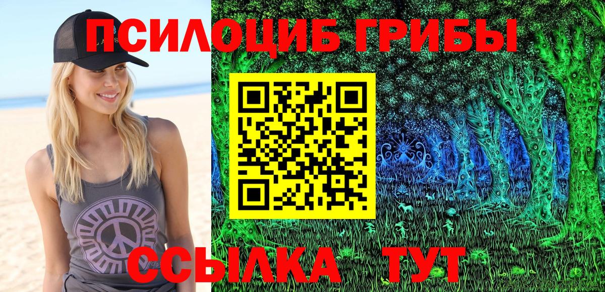 Псилоцибиновые грибы прущие грибы  закладки  Сосновоборск  Галлюциногенные грибы Cubensis 